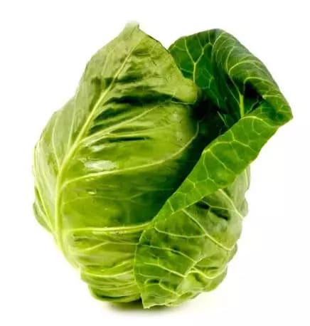 Hodekål Norsk pr kg