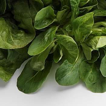 Feldsalat pr. stk
