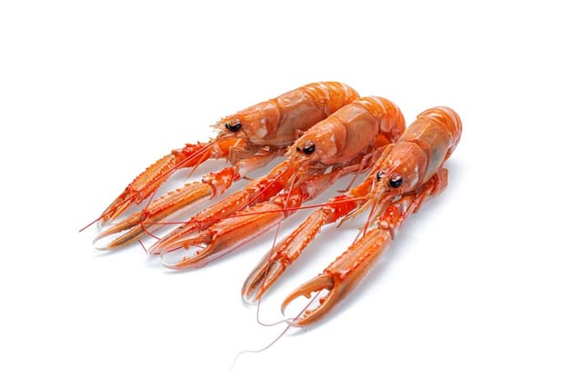 Sjøkreps (Rå) Restaurantkasse 4-5kg