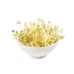 Bønnespirer 180g(Norsk)
