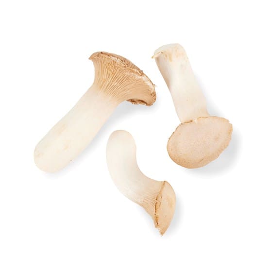 Sopp konge øster per kg