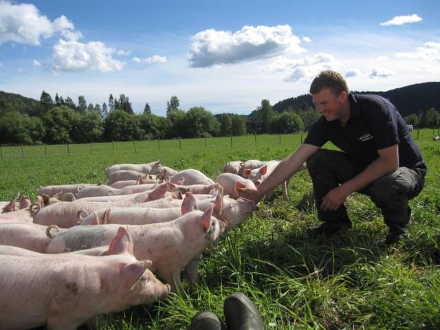 Guided farm tour group