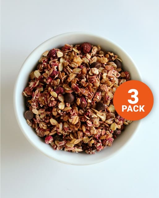 Monster Lavkarbo Granola – 300g – TREPAKNING MIX & MATCH (3-pack)