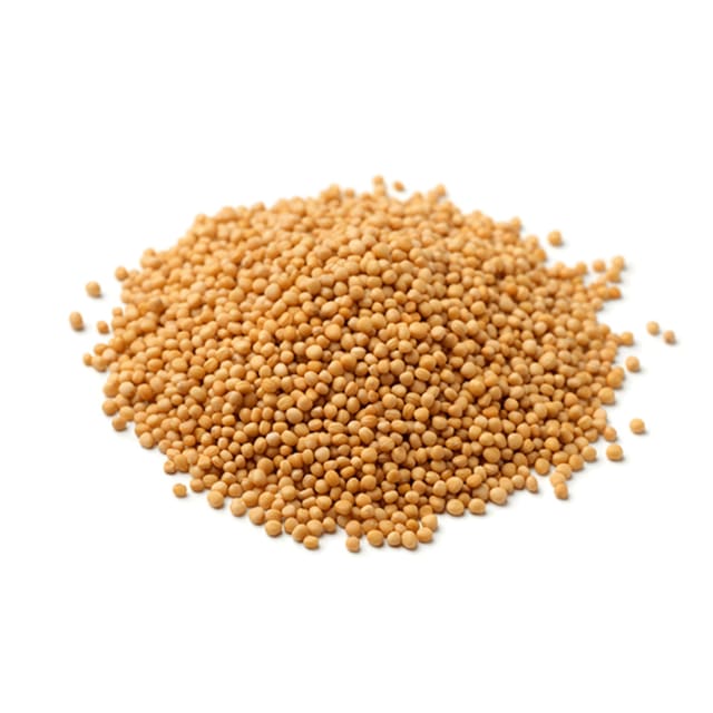 Sennepsfrø Gule Økologisk 1kg