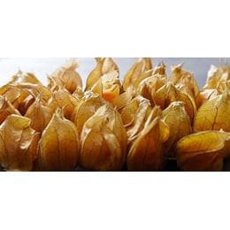 Physalis 100g