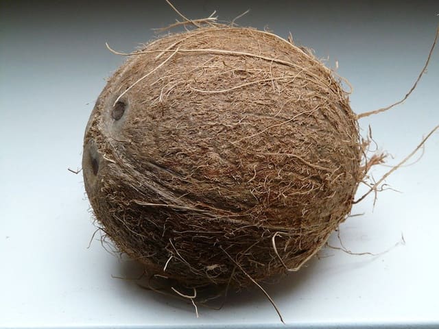 Kokosnøtt per stk
