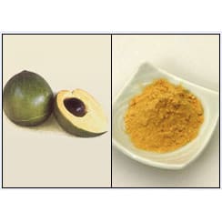 Lucuma Pulver Rå Økologisk 250g