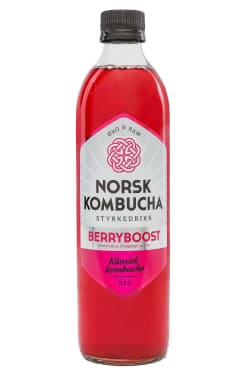 kombucha flaske 0,5