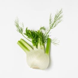 Fennikel per kg