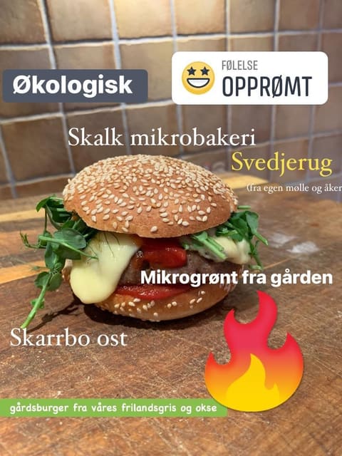 Hamburger black turkey