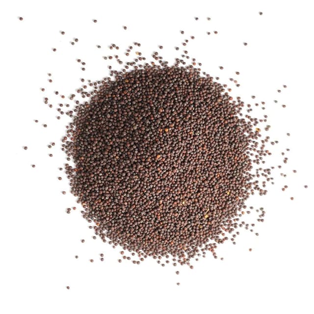Sennepsfrø Brune Økologisk 1kg